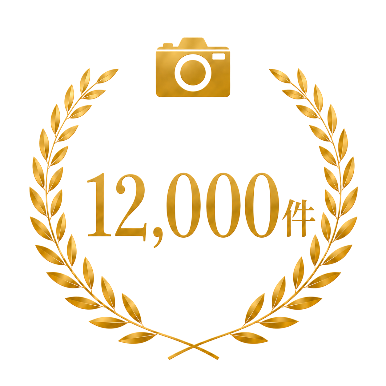 撮影件数 12,000件以上